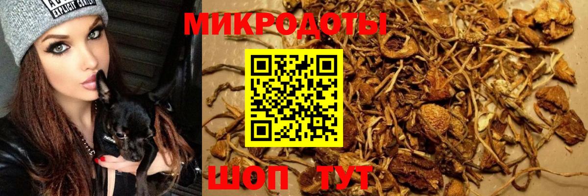 Тамбов  Псилоцибиновые грибы Magic Shrooms  Галлюциногенные грибы GOLDEN TEACHER  Вход с VPN 