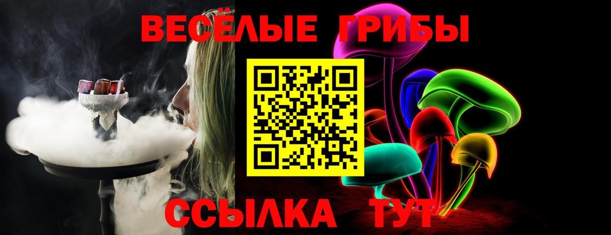 Псилоцибиновые грибы мухоморы Тамбов